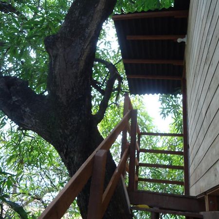 Casa Na Arvore Салвадор Екстериор снимка